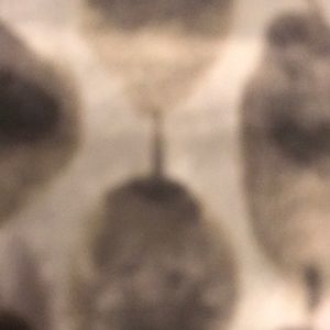 Meet your Posher, Lara